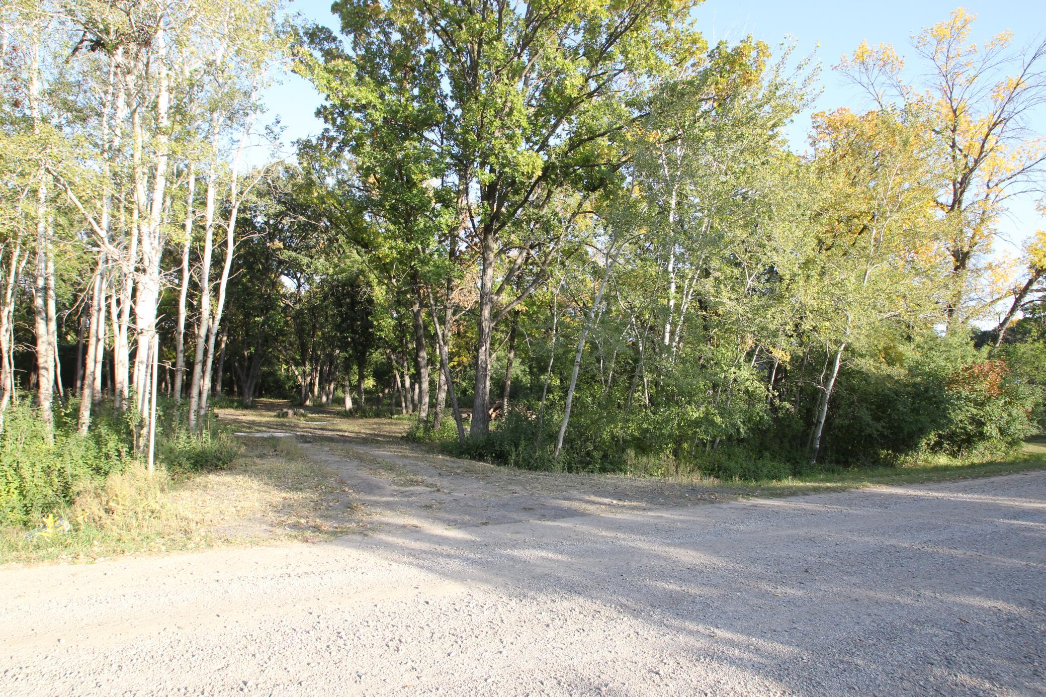 One Acre Wooded Lot.JPG