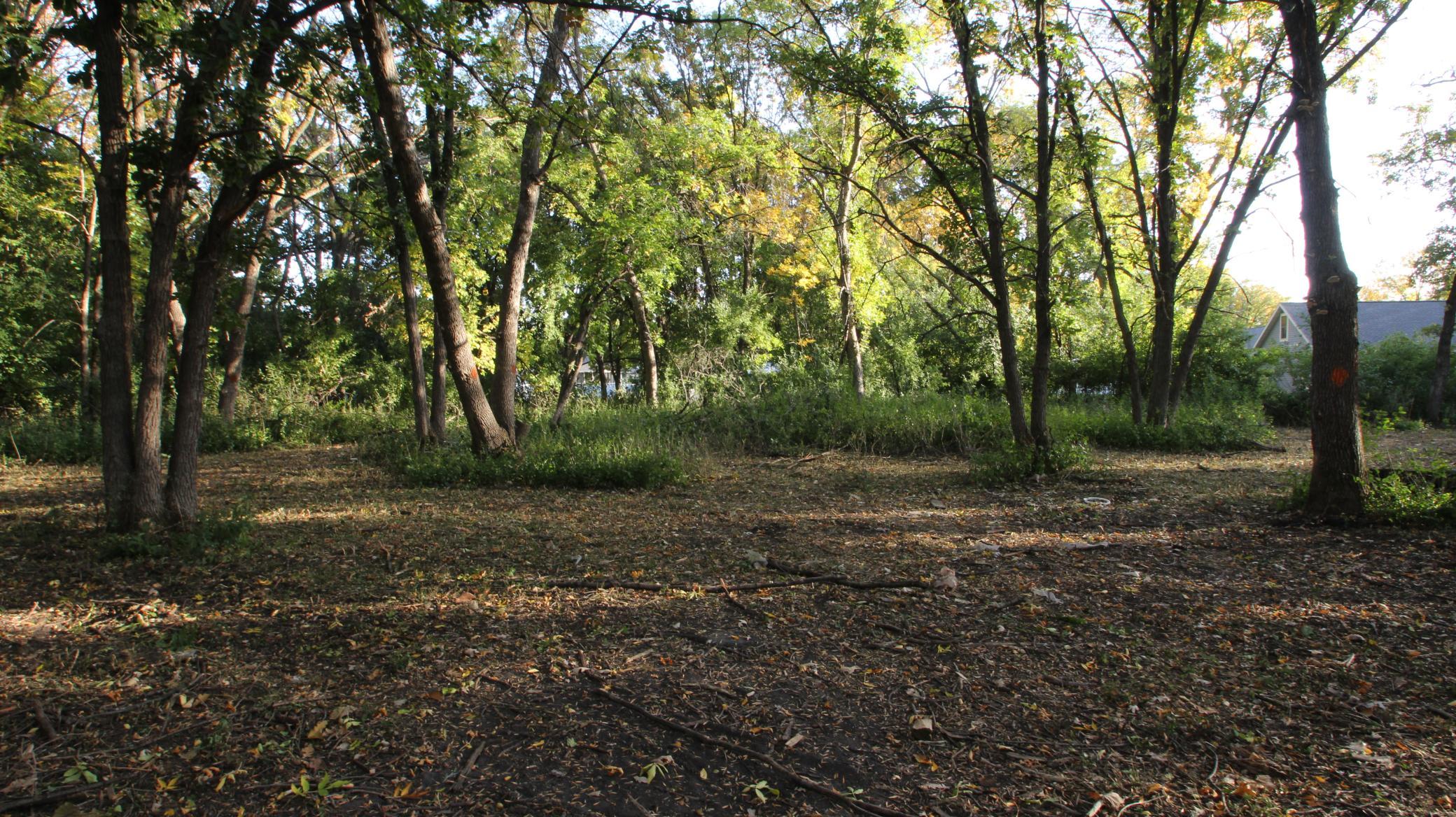 Private Wooded Setting.JPG