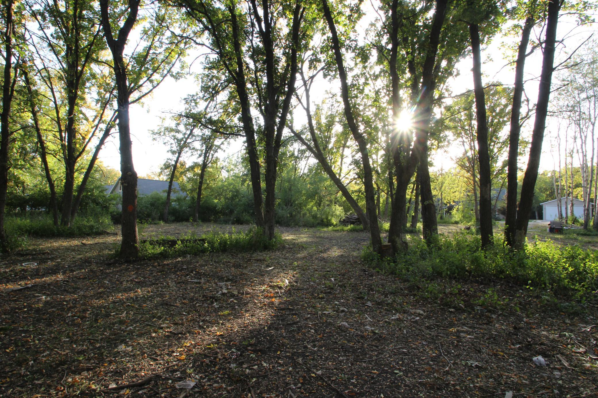 View Toward The Road.JPG