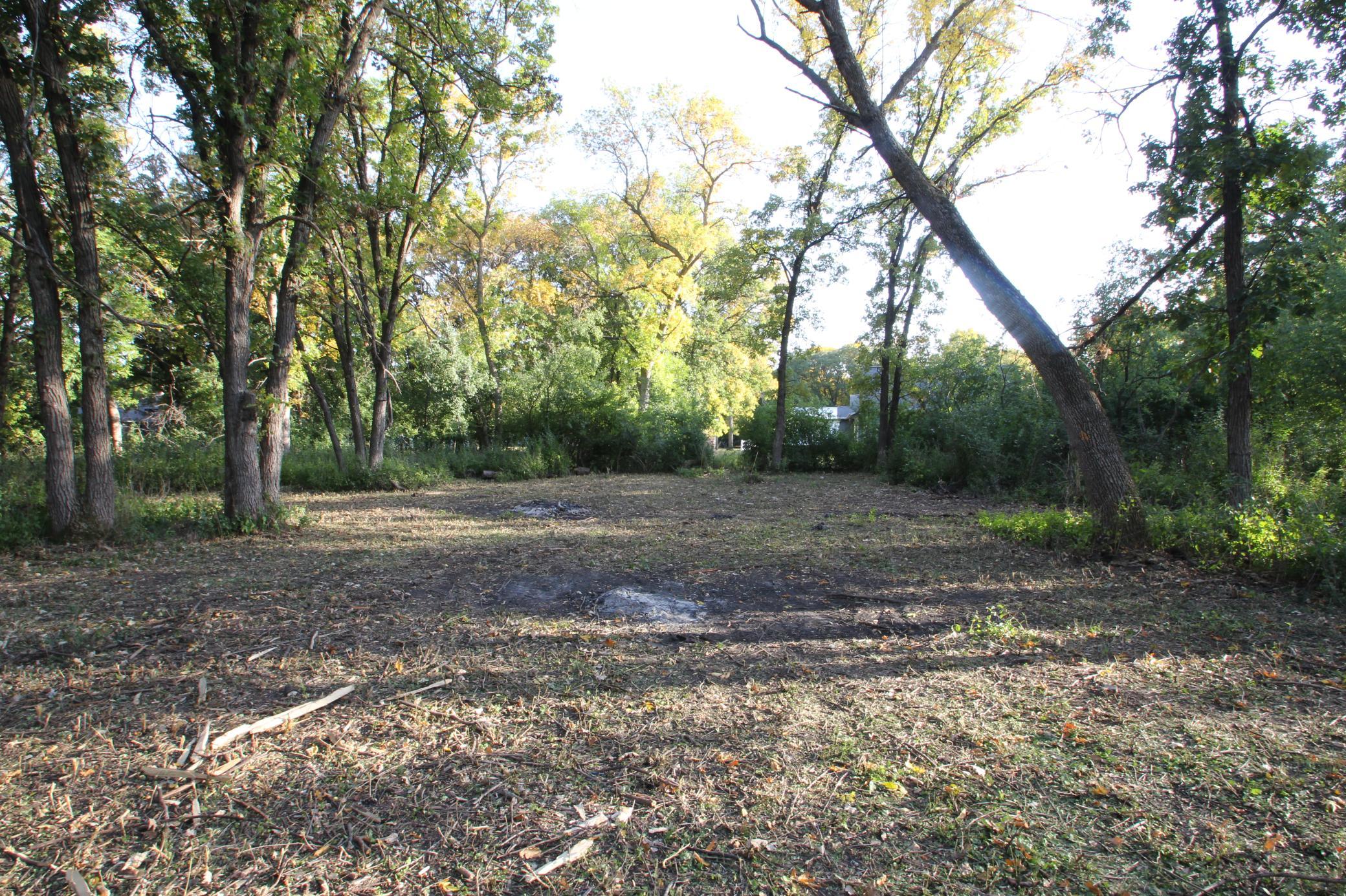 Mature Oak And Ash Trees.JPG