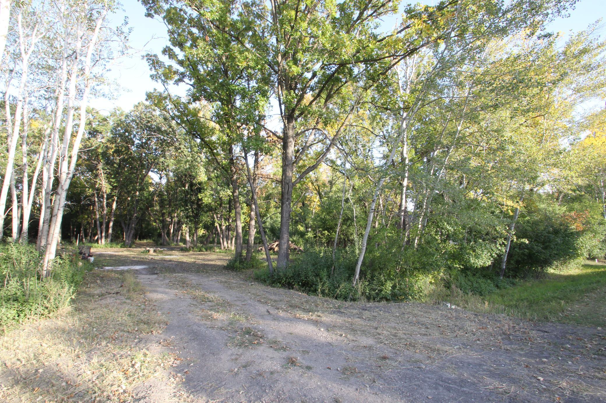 Driveway Into Property.JPG