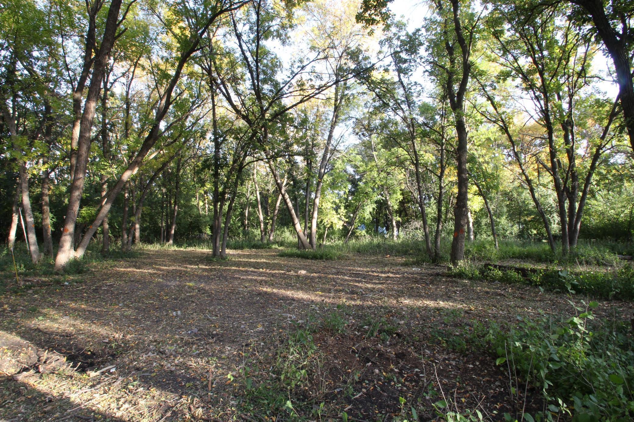 East End Of Property.JPG