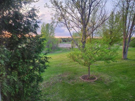 View from home to the North