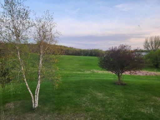 View from home to the South. Entire property is mowed