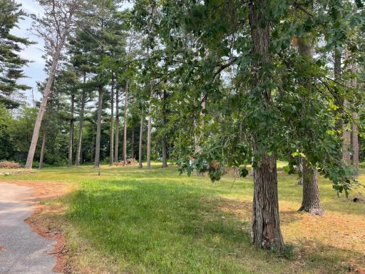 TBD Park Lane, Emily, MN 56447