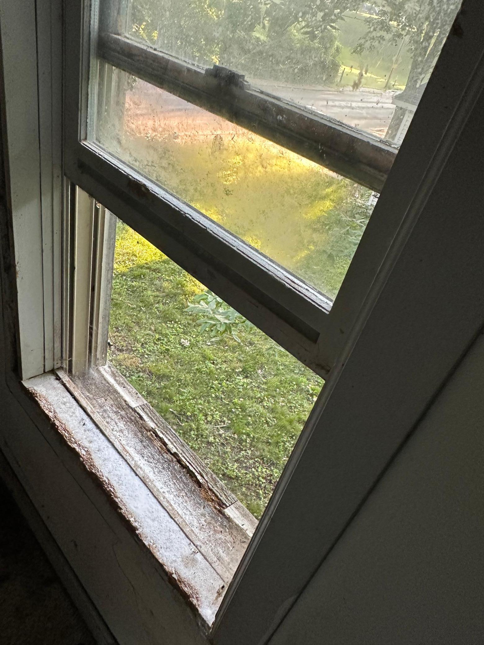Bedroom Window