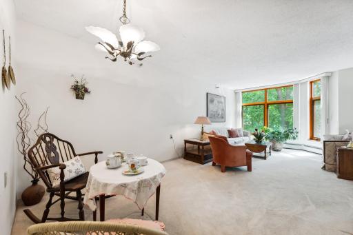 Living/Dining Room Combo