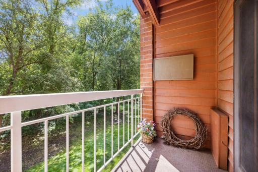 Great view of the park