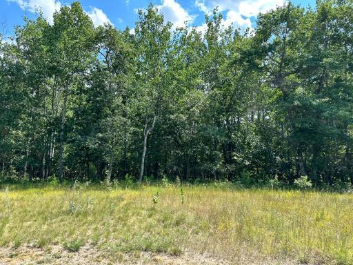 Lot 9 Explorer Circle, Park Rapids, MN 56470