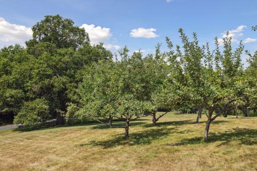 6244 78th Lane, Loretto, MN 55357
