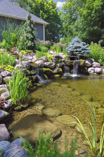 Multi level areas in the swimming pond-this is the shallow end