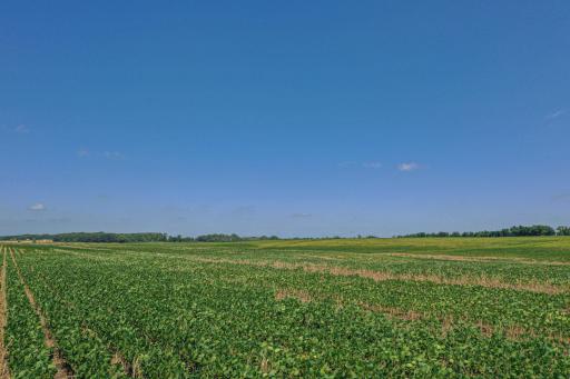 XXX 193rd Ave, Sauk Centre, MN 56378