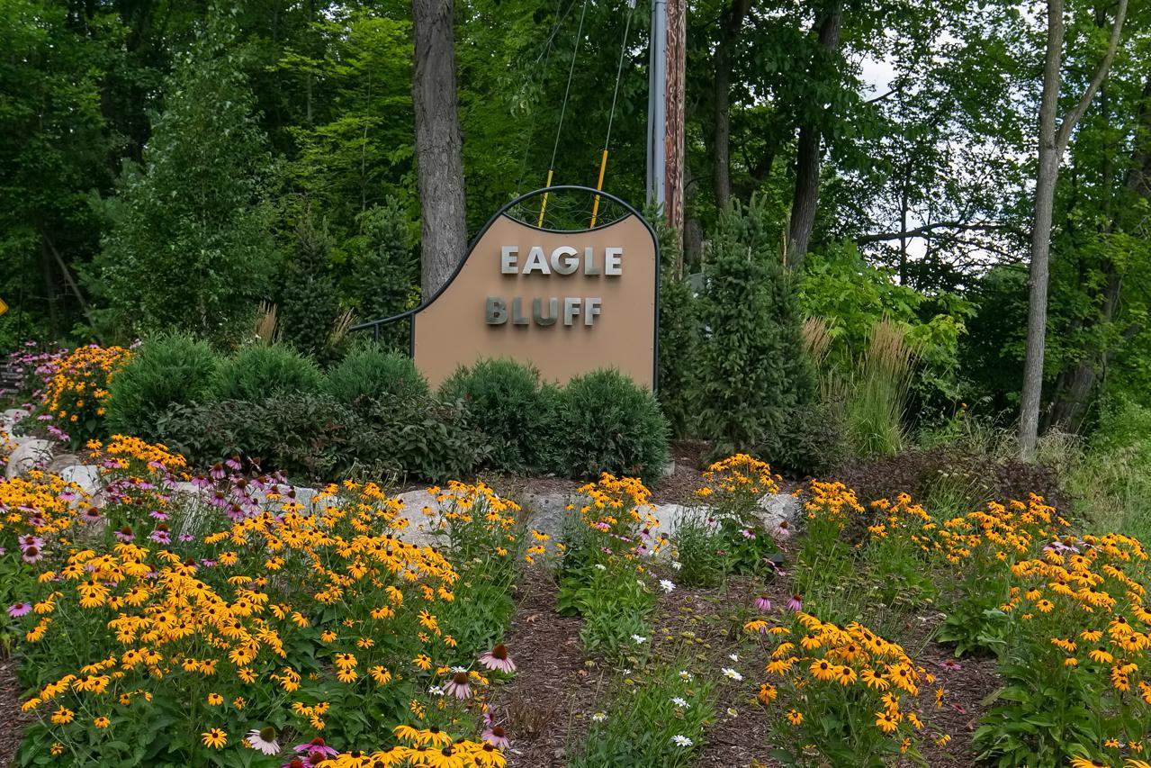Eagle Bluff
