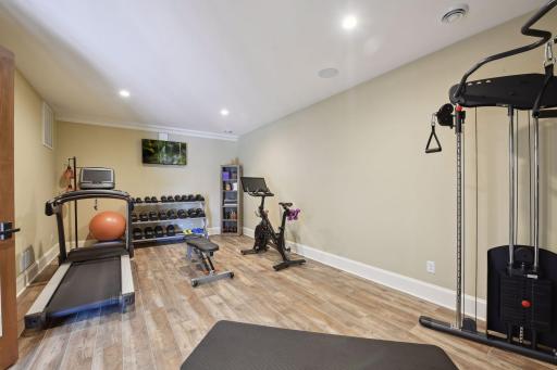 Home gym with luxury vinly floors and in-ceiling speakers