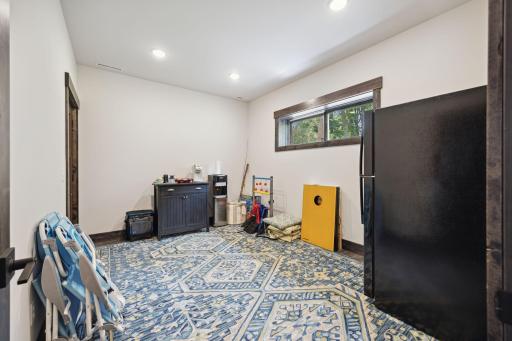 Lower-level bonus/flex room - steps out onto the patio.