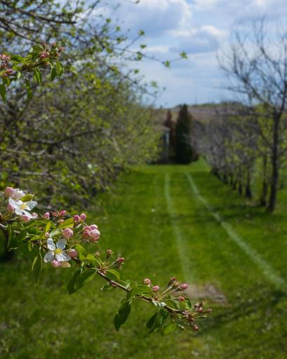 W12266 King Lane, Stockholm, WI 54769