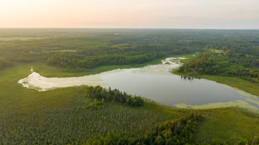 28465 County 89, Park Rapids, MN 56470