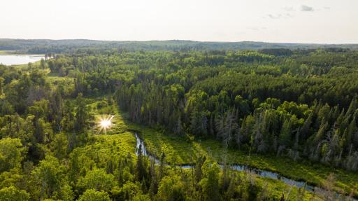 28465 County 89, Park Rapids, MN 56470