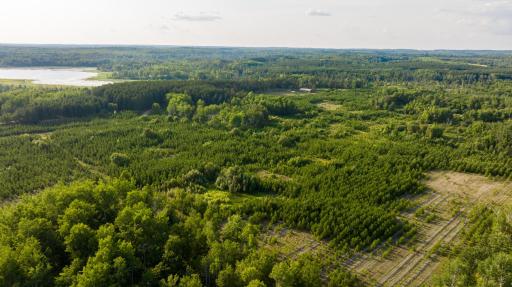 28465 County 89, Park Rapids, MN 56470