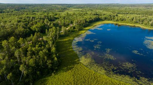 28465 County 89, Park Rapids, MN 56470
