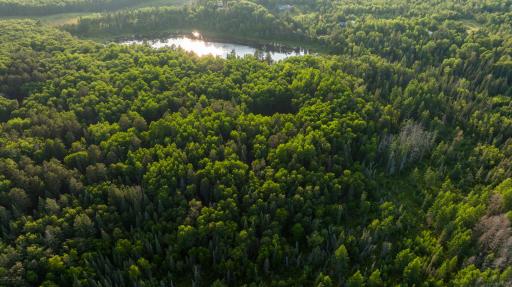 28465 County 89, Park Rapids, MN 56470