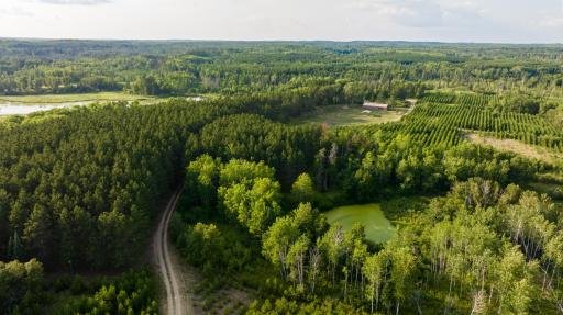 28465 County 89, Park Rapids, MN 56470