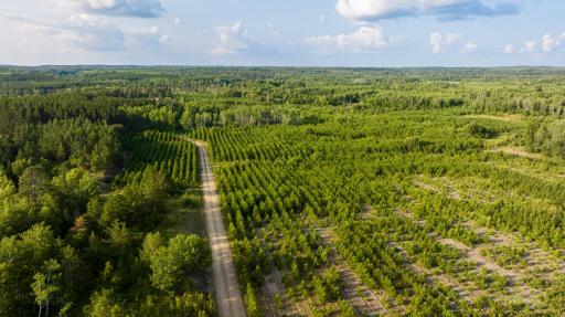 28465 County 89, Park Rapids, MN 56470