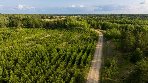 28465 County 89, Park Rapids, MN 56470