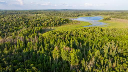28465 County 89, Park Rapids, MN 56470