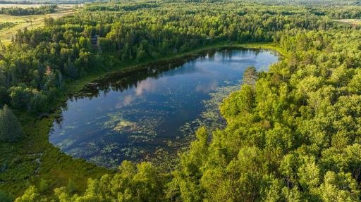 28465 County 89, Park Rapids, MN 56470