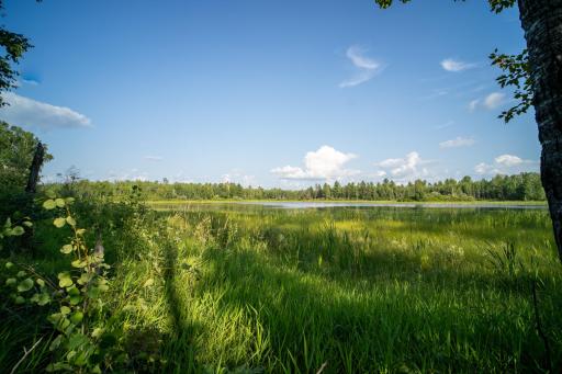 28465 County 89, Park Rapids, MN 56470