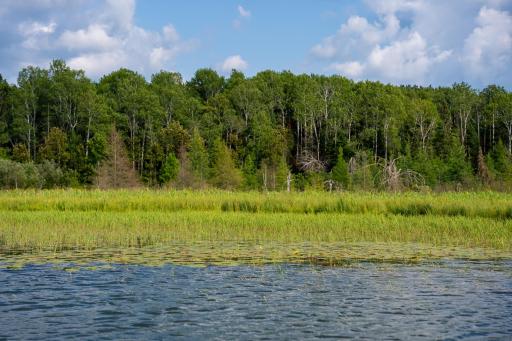 28465 County 89, Park Rapids, MN 56470