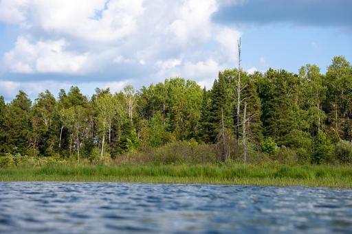 28465 County 89, Park Rapids, MN 56470
