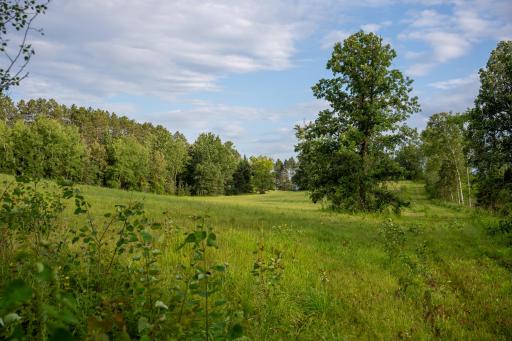28465 County 89, Park Rapids, MN 56470