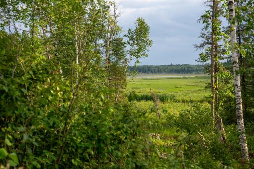 28465 County 89, Park Rapids, MN 56470