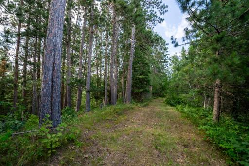 28465 County 89, Park Rapids, MN 56470