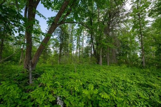 28465 County 89, Park Rapids, MN 56470