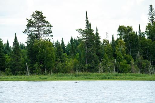 28465 County 89, Park Rapids, MN 56470
