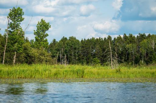 28465 County 89, Park Rapids, MN 56470