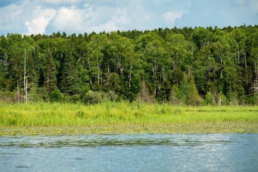 28465 County 89, Park Rapids, MN 56470