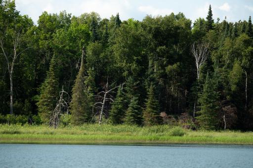 28465 County 89, Park Rapids, MN 56470