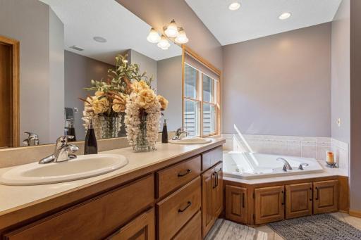 Large primary en suite with walk-in closet.