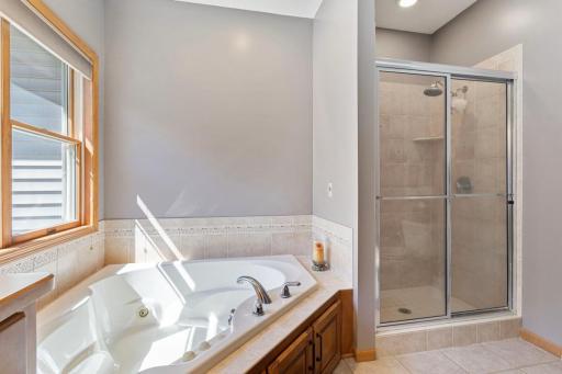 Whirlpool tub and walk-in shower.