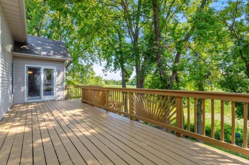 Beautiful view of wetland!