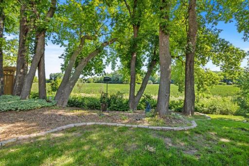 Nicely landscaped yard.