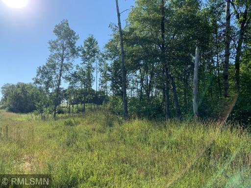 Standing on the driveway approach looking towards the golf course. That is Minnesota National Golf Course in the background.