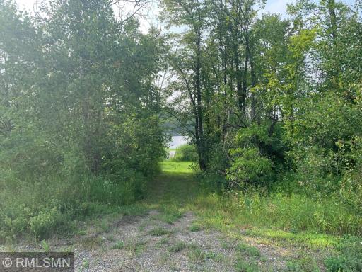 This what the trail to the lake looks like from the road.