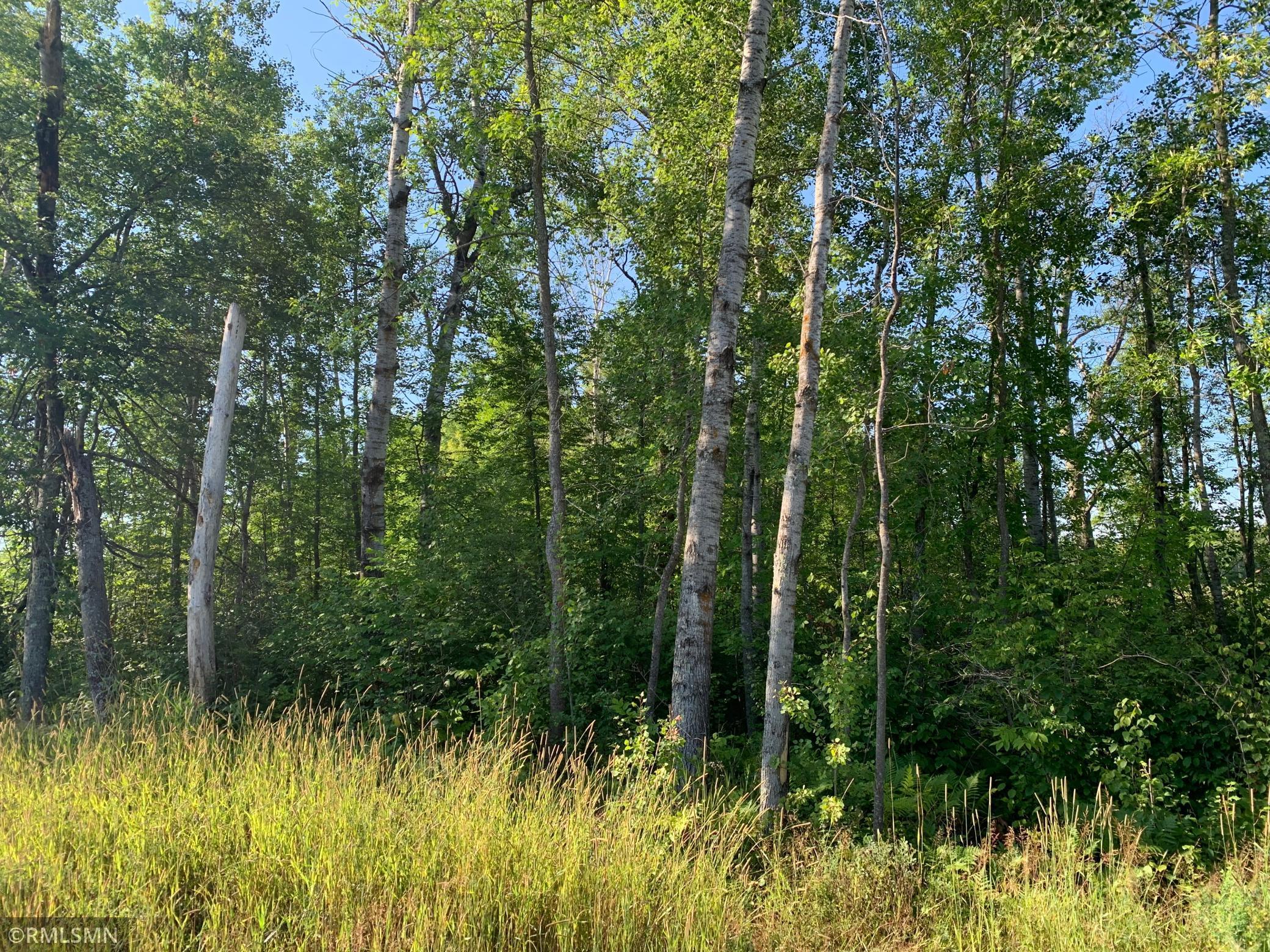 Some woods up front and more the further back on the property you go.