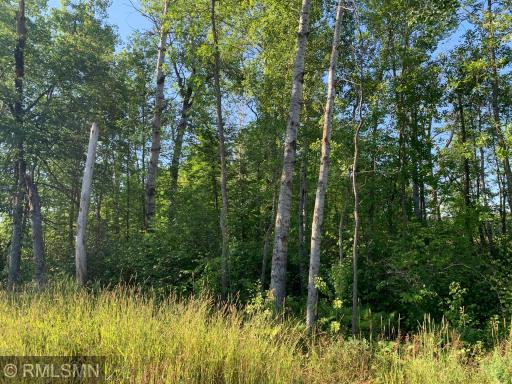 Some woods up front and more the further back on the property you go.