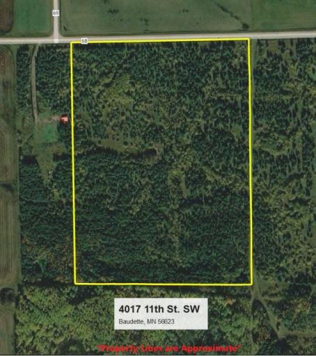 4017 11th Street SW, Baudette, MN 56623